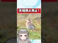 【都道府県クイズ】茨城県のシンボルをまとめました【 #雑学/覚えると楽しい/ #47都道府県 /関東地方 】 #shorts #vtuber #出身地 アーティストさんの曲