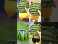 Mochi Family Funny video 😂😂😂