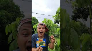 Aleh #shorts #trending #funny #viral #comedy