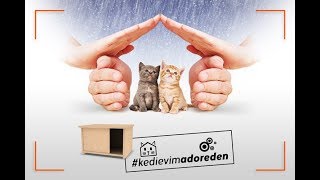 Adore Kedi Evi Kurulum/Montaj Videosu Resimi