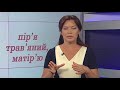 Модуль 2. Заняття 8: Уживання апострофа (орфографія)