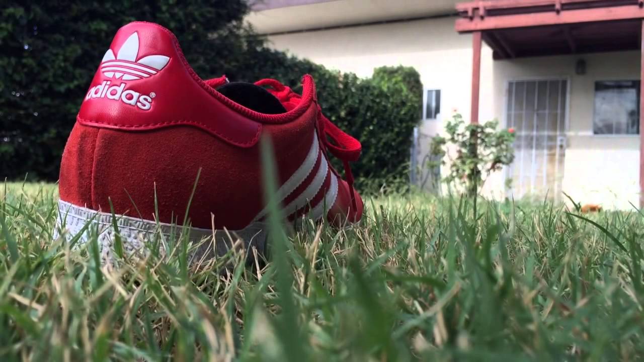 Adidas Gazelle On Feet Adidas Gazelle On Feet