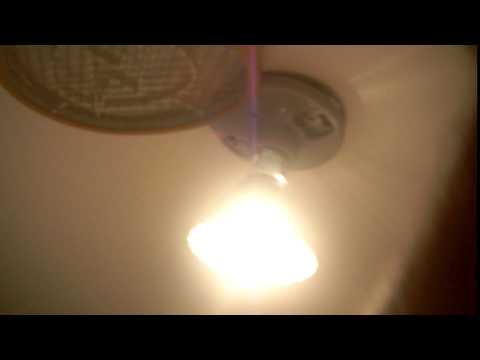 Home Bug Zapping Spider