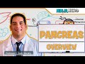 Endocrinology | Pancreas Overview