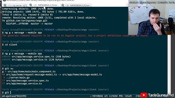 Canli : Go ve Angular 7 ile Web Uygulamasi Yaziyoruz - Part 13