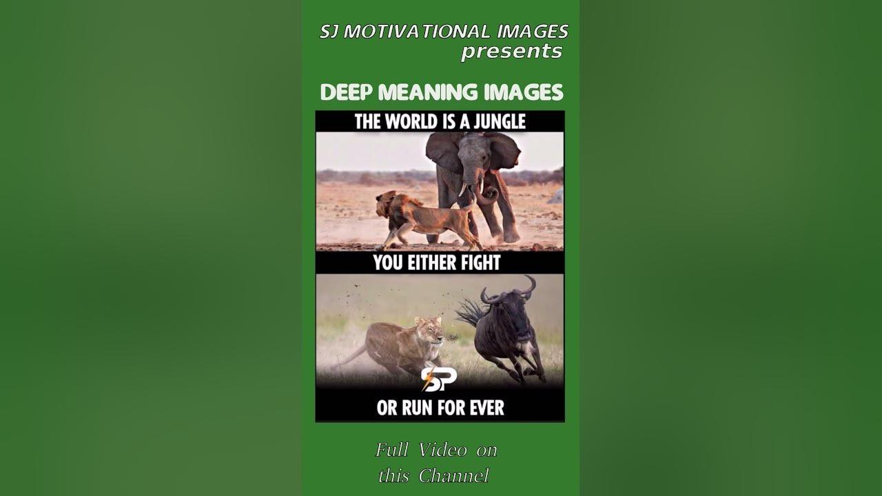 Deep Meaning Images That Speaks More Than Words Pictures With Deep deep-meaning-images-that-speaks-more-than-words-pictures-with-deep