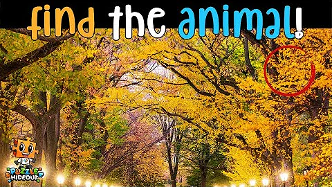 Find the Hidden Animal #2 | Can you Spot the Hidden Animals? Hidden Animal Game | Optical Illusions