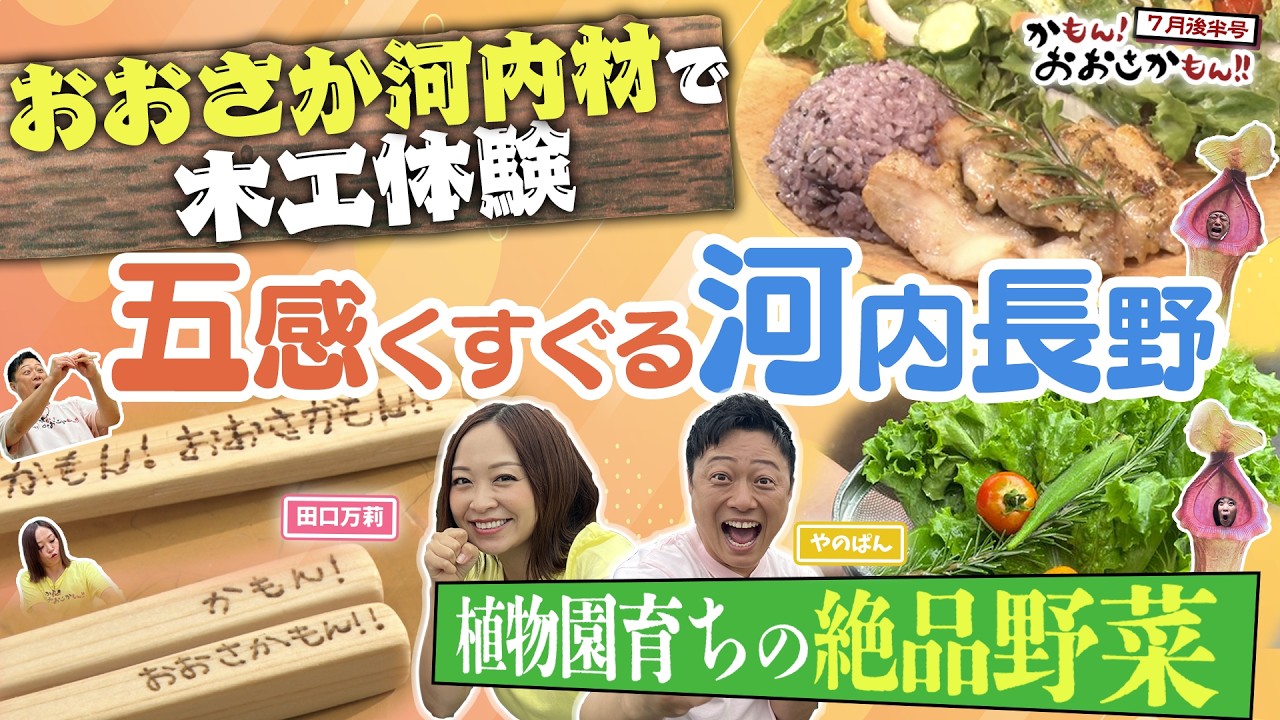 かもん！おおさかもん！｜J:COM番組ガイド