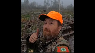 2021 Maine Moose Hunt