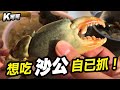 （cc字幕)想吃沙公（螃蟹）自己抓