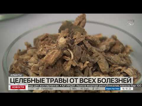 Ученый: в Казахстане растут целебные травы от всех болезней