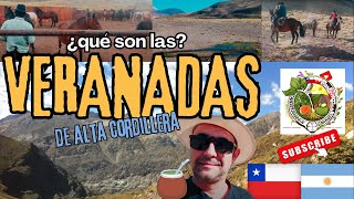 ¿Qué Son las Veranadas en la Cordillera de los Andes? Pastoreo y Transhumancia en Mendoza, Argentina