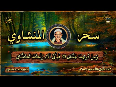 و ل م ن خ اف م ق ام ر ب ه ج ن ت ان من روائع التلاوات للشيخ المنشاوي