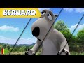BERNARD Collection 52 Full Episodes VIDEOS And CARTOONS FOR KIDS 