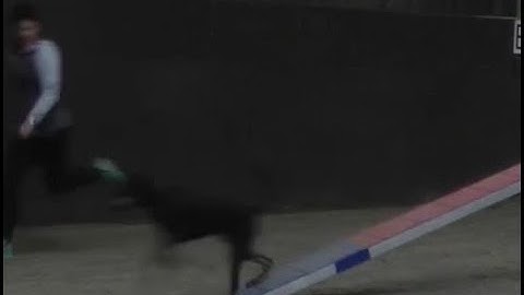 Running Contacts using Silvia Trkman