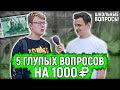 ОТВЕТЬ НА 5 ГЛУПЫХ ВОПРОСОВ И ВЫИГРАЙ ДЕНЬГИ / Школьные вопросы