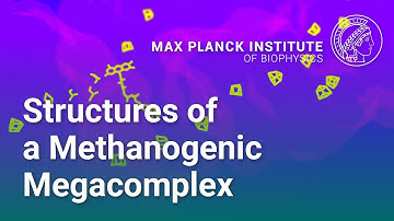 Structures of a methanogenic megacomplex shed light on conformationally-gated electron transfer