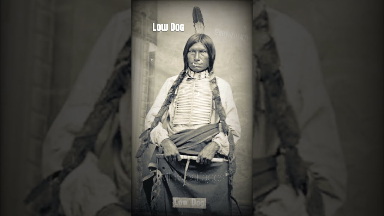 Low Dog Little Bighorn Battleofthelittlebighorn Sioux Nativehistory History