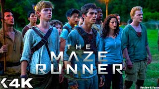 The Maze Runner Full Movie (2014) Sci-Fi Survival Adventure Mystery & Action Review & Facts