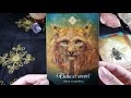 The Spirit Animal Oracle Review and Flip through