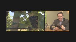 Wine Sense TV - Pinot Noir, Pinot Gris, Pinot Blanc - Wine and Food Pairing