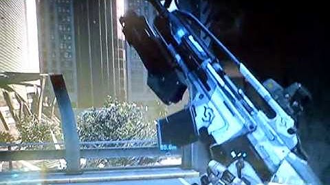 Crysis 2 gun glitch