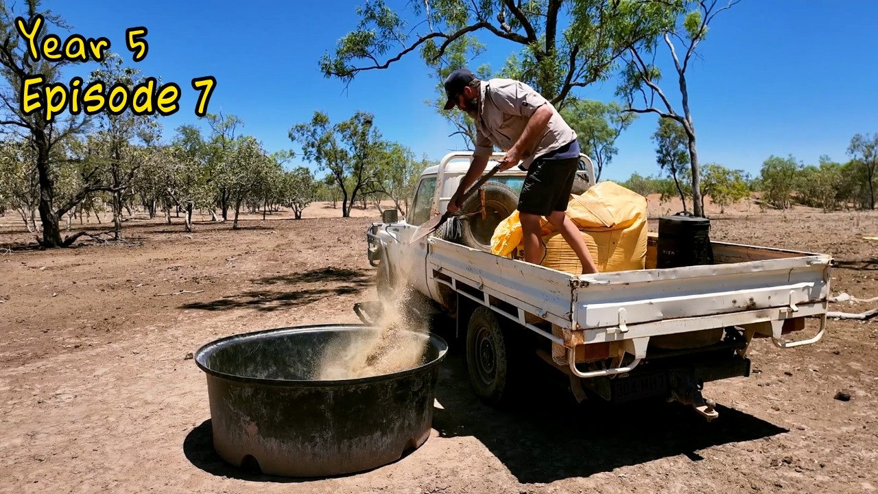 Cattle Station Caretaker in the Gulf | Hunting Buffalo
