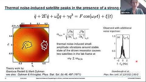 Spectral evidence of squeezing in a driven, nonlinear nanomechanical resonator (Eva Weig)