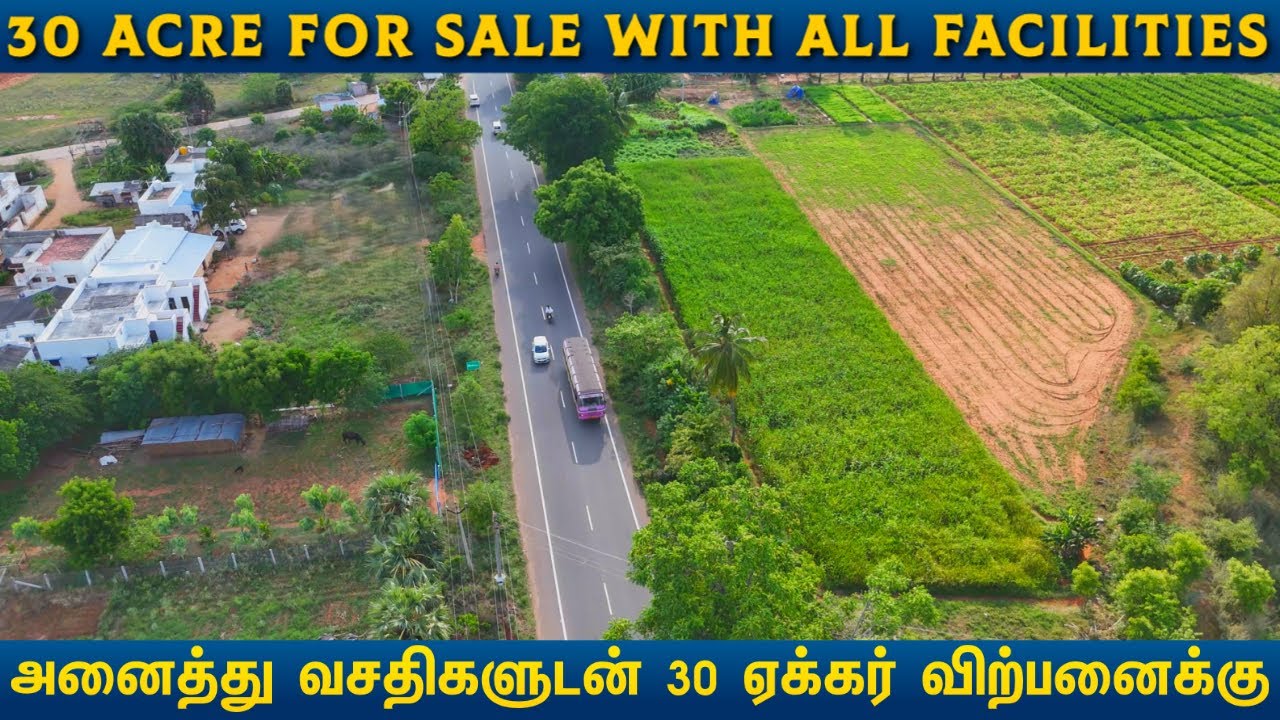 🌴அனைத்து வசதிகளுடன் 30 ஏக்கர் விற்பனைக்கு | 30 ACRE🌳FOR SALE #best #land #lowbudget #property #farm