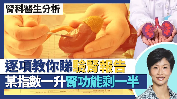 腎功能與護腎貼士｜腎科醫生教你睇驗腎報告 某指數一升腎功能已剩一半？腎臟不只排毒 一半腎衰竭由糖尿病引起？護腎貼士：多飲水不一定好 身體檢查有腎毒性？｜王建芳醫生 腎科醫生葉逸軒醫生｜人類健康研究所 - 天天要聞