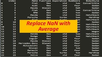 07 Replace nan with Average
