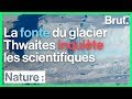 Les risques de la disparition du glacier thwaites