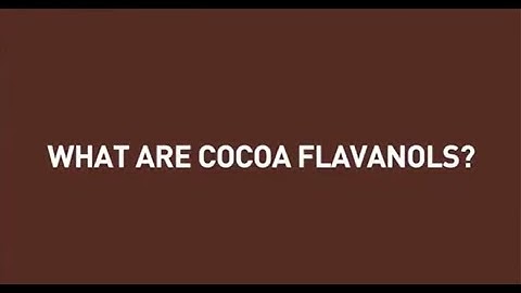 What Are Cocoa Flavanols