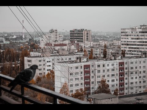 Несогласие - Всё в порядке, всё пройдёт (Doomer version)