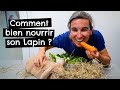 Comment bien nourrir son Lapin ?