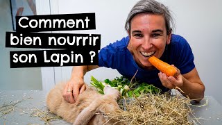 Comment bien nourrir son Lapin ?