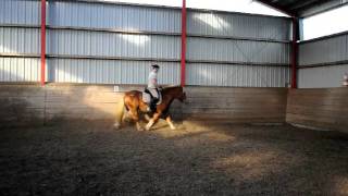 DSC_0346.AVI