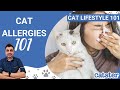 How To Manage Cat Allergies When You Have A Cat