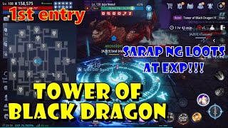 MIR4: TOWER OF BLACK DRAGON First Entry, SULIT LOOTS! SULIT EXP! | Unang Pasok to tara libutin natin