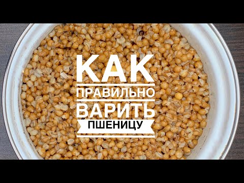 Видео: Как да съхранявате пшеница