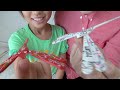 せんぶは4まいの　Vietnamese Dragonfly