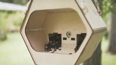 Etnobird Smart Bird Feeder