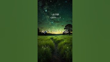 ✨ "سورة النور.. آية النور التي تضيء القلوب بنور الله"