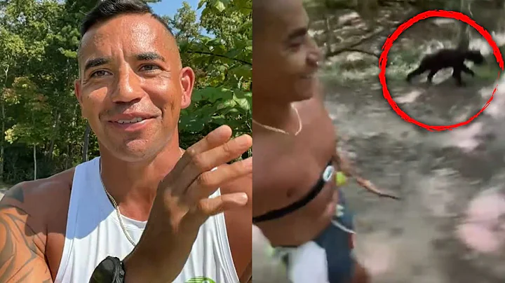 Bear Trails Man In Smoky Mountains