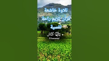 تلاوة خاشعة بصوت جميل ومؤثر #قران_كريم #قرآن #elmulquranعلم #duet #المصحف #تلاوة_هادئة #راحة_نفسية