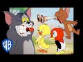 Tom und Jerry auf Deutsch | Königreich der Tiere | WB Kids