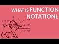 Understanding Function Notations