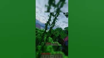 Minecraft do a barrel roll mod #minecraft #gaming #minecraftmods #modded