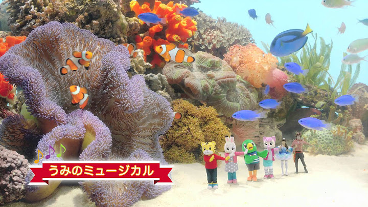 映画『しまじろうと くじらのうた』予告編