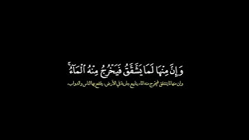 تلاوة هادئة وشجية لسورة البقرة بصوت عبدالرحمن ناجي محاكاة مبدعة للحيدان تلامس القلوب بخشوع